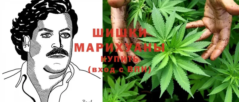 Шишки марихуана THC 21%  наркота  Воркута 